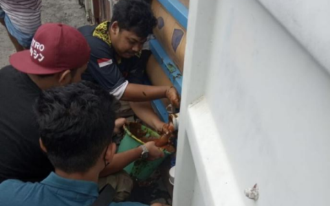 印尼将300吨原始棕榈油非法运往中国