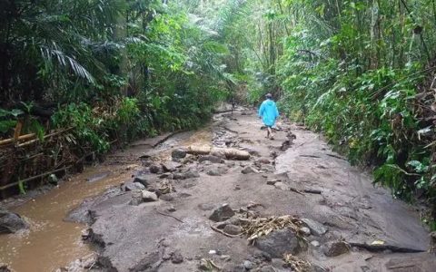 巴厘岛洪水和山体滑坡灾害 已导致6人身亡