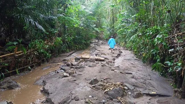 巴厘岛洪水和山体滑坡灾害 已导致6人身亡