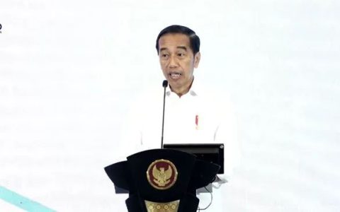 佐科指出90%印尼初创公司失败的原因