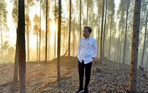 佐科希望两年后能在新首都庆祝独立日