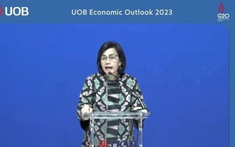 财政部长对佐科总统的谨慎感到高兴