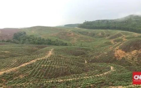 印尼新都投资者可获长达160年建筑使用权