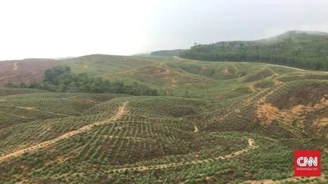 印尼新都投资者可获长达160年建筑使用权