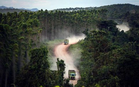 新都地区将建设东南亚最高的摩天大楼