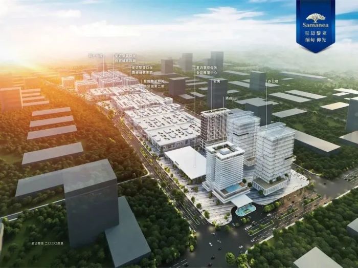 唐格朗·星迈黎亚供应链峰会