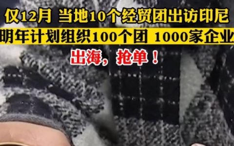 出发!中国多地组团“出海印尼”抢订单!