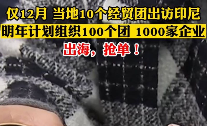 出发!中国多地组团“出海印尼”抢订单!