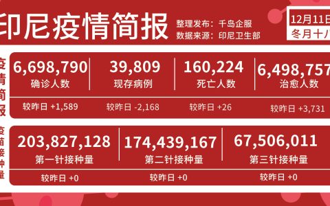 佐科新儿媳“不一般” 令人惊艳的不仅是外貌