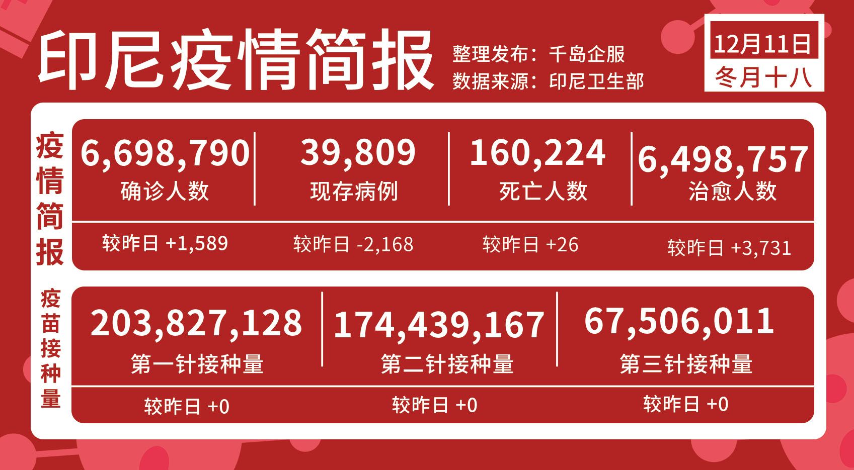 佐科新儿媳“不一般” 令人惊艳的不仅是外貌