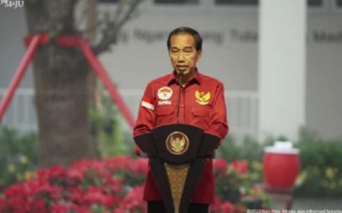 佐科坚信印尼能够主导电动汽车产业