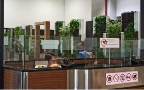 防不胜防，入境印尼竟出现电子落地签诈骗网站！