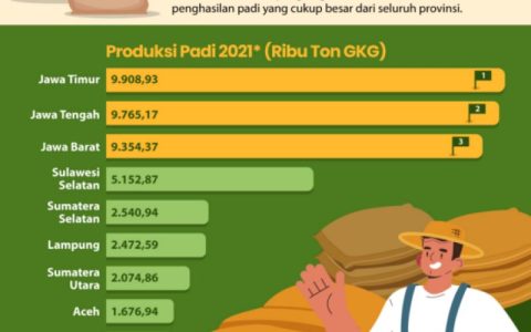印尼十大稻米生产省份名单