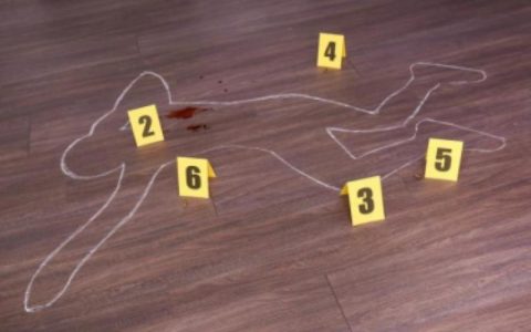 廖内两少年不忿被骂残忍杀害9个月婴儿及其母亲