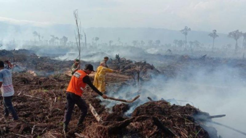气象部门预计将面临近五年来最干旱天气