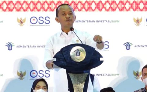 中企斥巨资60亿美元发展印尼电动车电池生态系统