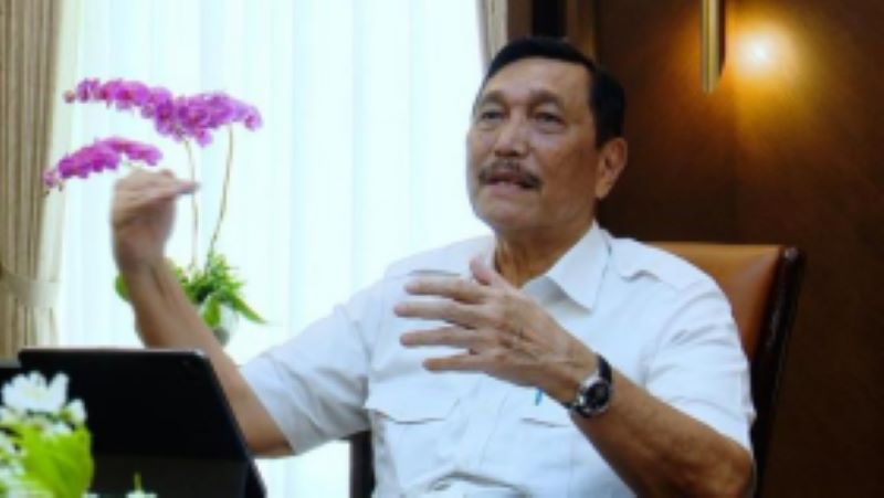 鲁胡特称赞中印两国在原材料领域互惠互利