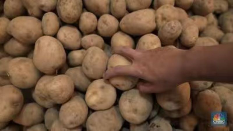 印尼进口国际土豆上千万公斤，市场快速扩大