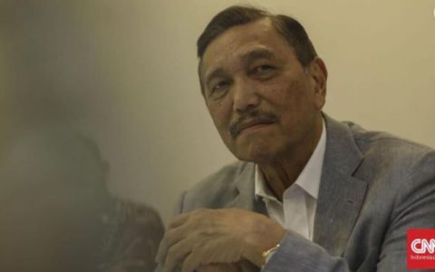 鲁胡特称中国电动汽车品牌将进驻印尼