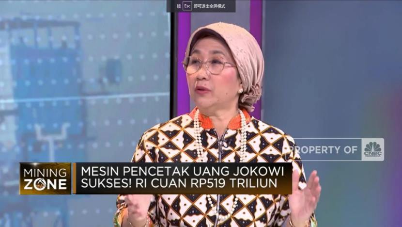 印尼总统期望2027年印尼成为锂电池生产国