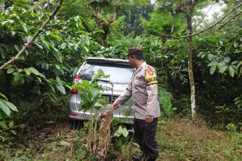中国游客刹车失控冲入咖啡园后无大碍
