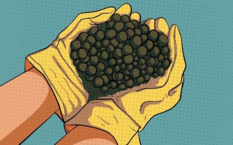 印尼政府各部门深入调查镍矿石非法出口案