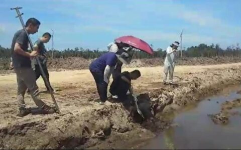 七名中国公民因勘探石英矿被移民部门调查