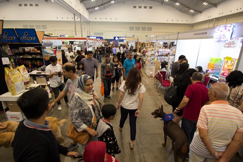 掌柜说：探展后印尼宠物用品市场如何