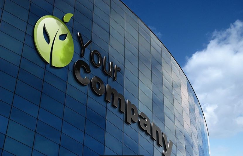 掌柜说：商标成功回购的故事