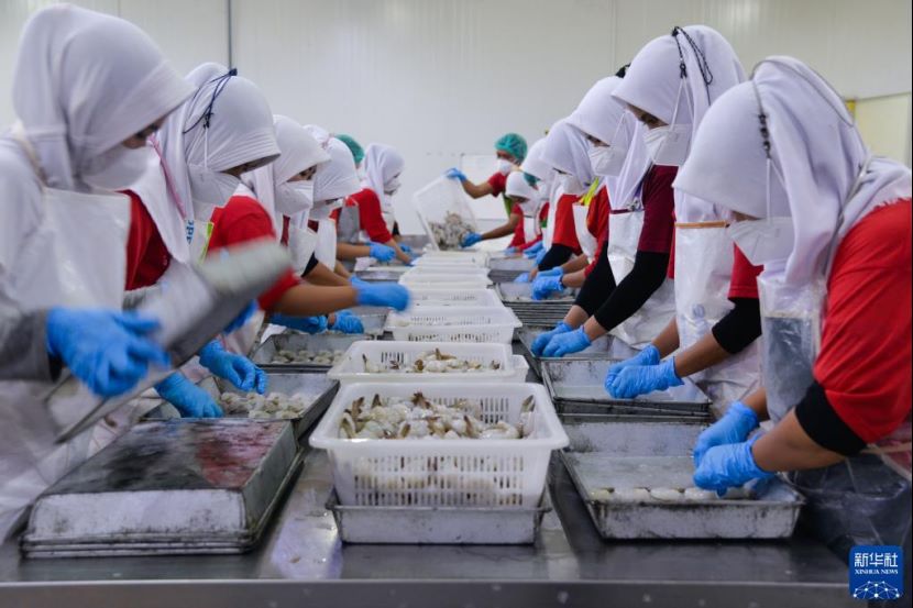 一包虾滑背后的“两国双园”故事