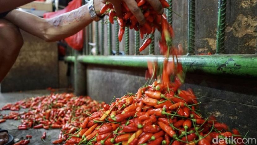 印尼辣椒价格竟比牛肉还高