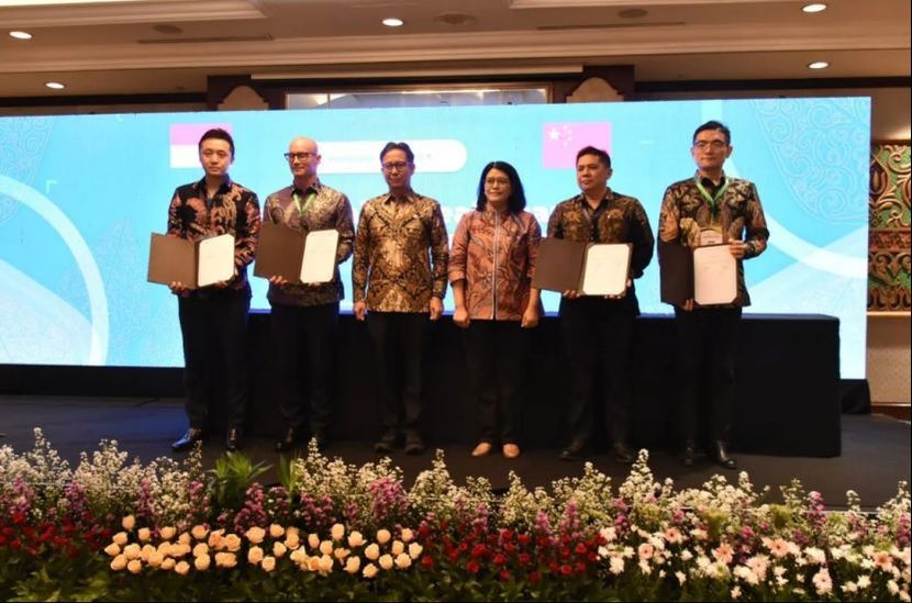 中国大健康产业投资发展印尼市场