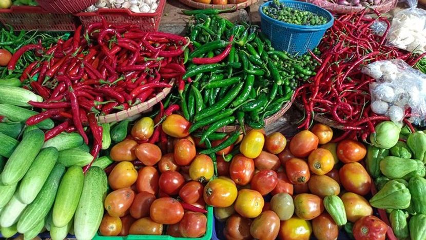 印尼从邻国新加坡大量进口食品