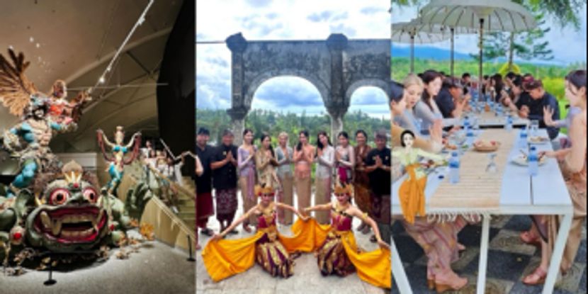 多名韩国演艺明星被巴厘岛扣留