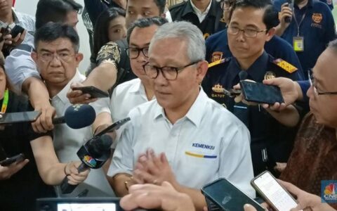 印尼海关查获的非法进口货物种类