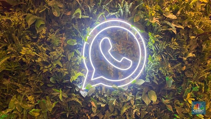 通信APP中常见的诈骗手段及应对方法