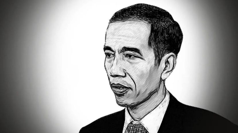 佐科总统的个人历程