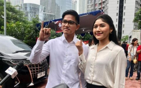 佐科幼子的商业版图：从食品到科技的多元发展