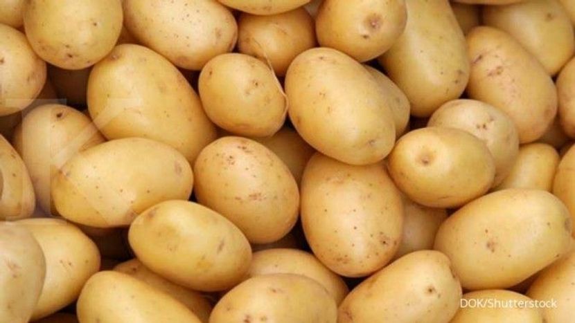 东南亚第一家冷冻薯条工厂投产运营