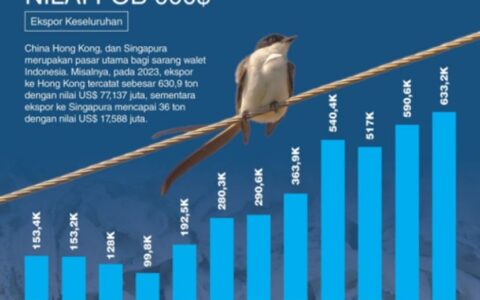 中国成为印尼燕窝主要出口市场