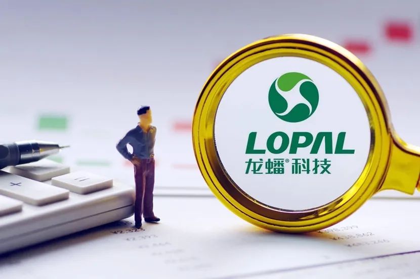 龙蟠科技印尼磷酸铁锂工厂一期正式投产