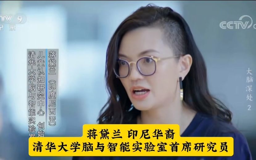 印尼华裔清华教授，当了印尼副部长