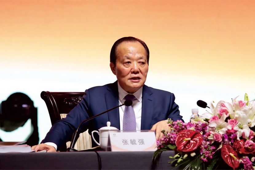 张毓强：振石集团全球镍铁布局先锋