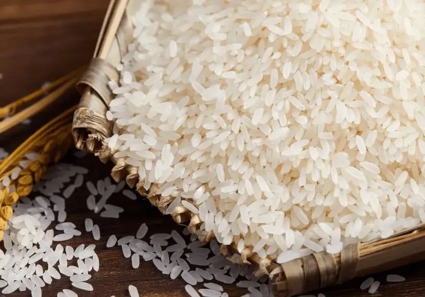 掌柜说：地大物博的印尼为什么需要进口大米