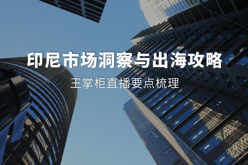 印尼市场洞察与出海攻略：王掌柜直播要点梳理