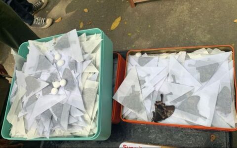 两名国人因蝴蝶被印尼警方逮捕