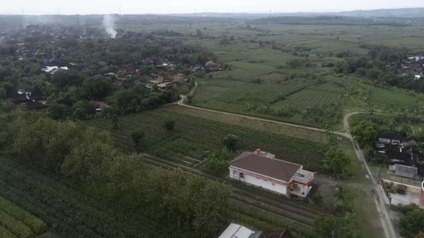 中企投资印尼建设圣诞树工厂