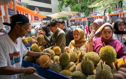 印尼榴莲即将进入中国市场