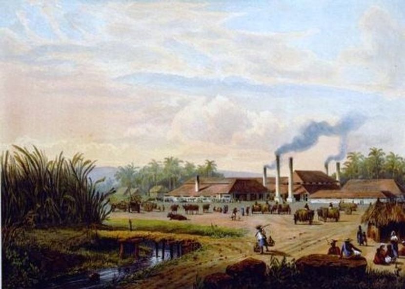 印尼历史最悠久的糖厂