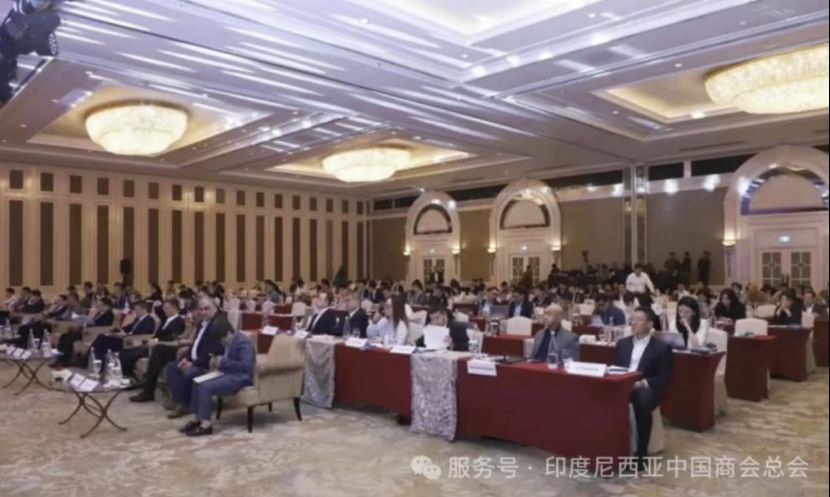 中印有色金属及镍钴论坛在雅加达举办